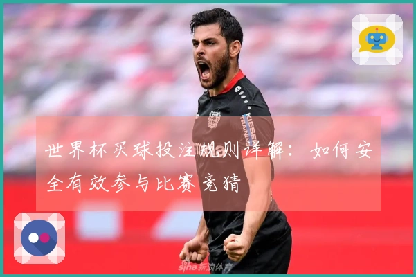 世界杯买球投注规则详解：如何安全有效参与比赛竞猜
