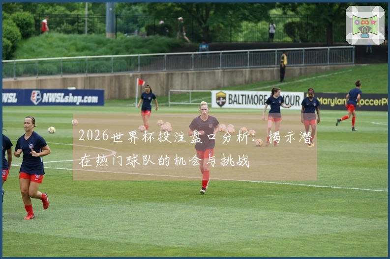 2026世界杯投注盘口分析：揭示潜在热门球队的机会与挑战