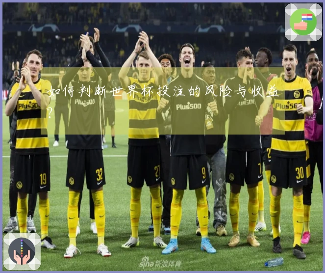 如何判断世界杯投注的风险与收益？