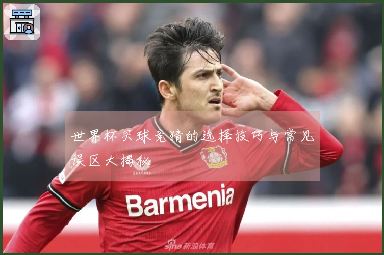 世界杯买球竞猜的选择技巧与常见误区大揭秘
