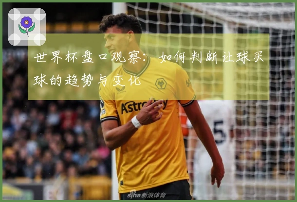 世界杯盘口观察：如何判断让球买球的趋势与变化