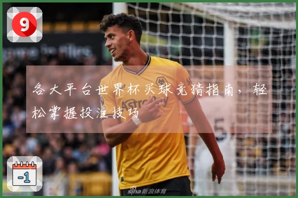 各大平台世界杯买球竞猜指南，轻松掌握投注技巧